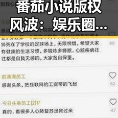 番茄小说版权风波：娱乐圈新焦点背后的真相