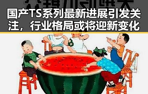国产TS系列最新进展引发关注，行业格局或将迎新变化