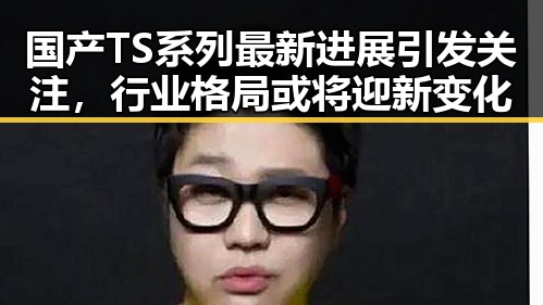 国产TS系列最新进展引发关注，行业格局或将迎新变化