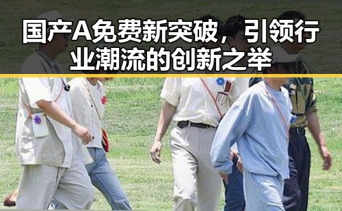 国产A免费新突破，引领行业潮流的创新之举