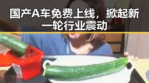 国产A车免费上线,掀起新一轮行业震动