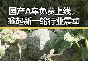 国产A车免费上线,掀起新一轮行业震动