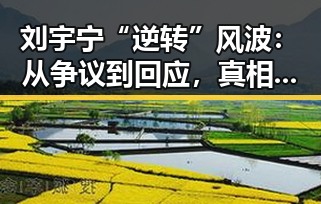 刘宇宁“逆转”风波:从争议到回应,真相到底是什么?