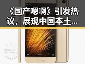 《国产嗯啊》引发热议,展现中国本土声音的多样魅力