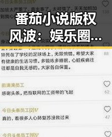 番茄小说版权风波:娱乐圈新焦点背后的真相