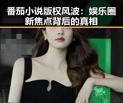 番茄小说版权风波:娱乐圈新焦点背后的真相