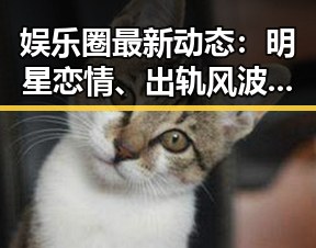 娱乐圈最新动态:明星恋情、出轨风波与版权争议交织