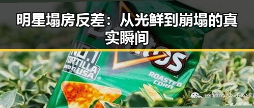 明星塌房反差:从光鲜到崩塌的真实瞬间