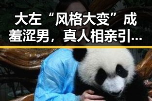 大左“风格大变”成羞涩男,真人相亲引热议!