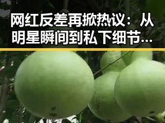 网红反差再掀热议:从明星瞬间到私下细节的全新观察